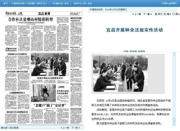 宜昌开展林业法规宣传活动 _中国绿色时报电子报.jpg