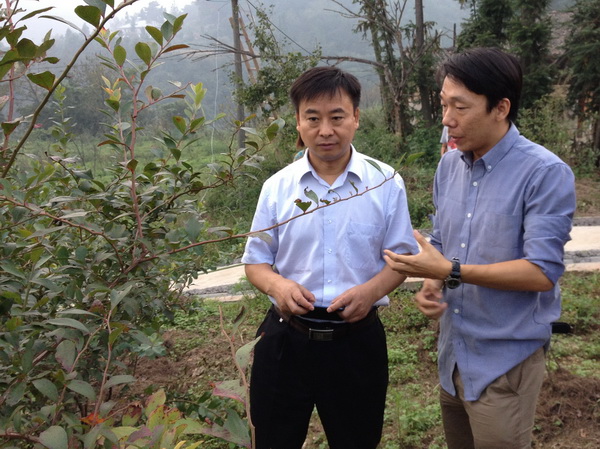 陈宏彦同志在罗伟的蓝莓基地调研.jpg